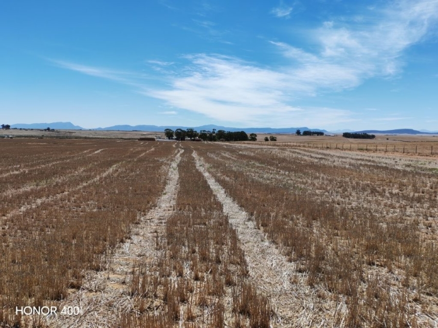 0 Bedroom Property for Sale in Hopefield Rural Western Cape